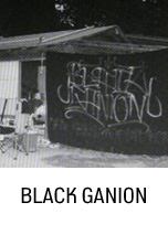 BLACK GANION