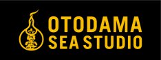音霊 OTODAMA SEA STUDIO 2013 - RED LINE BEACH -							